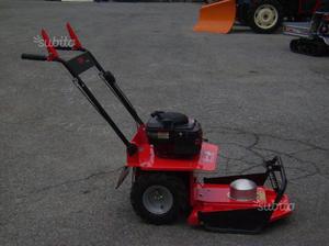 Motore a scoppio briggs & stratton