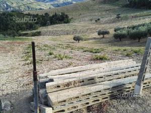 Pali per vigneto in cemento