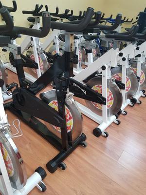 Ricambi spin bike schwinn