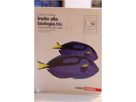 Libro Di Fisica Per Scuole Medie Superiori Posot Class