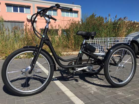 bicicletta x disabili