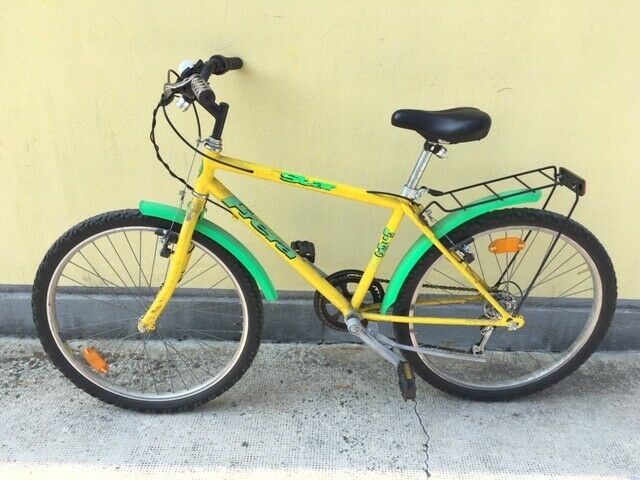 bicicletta bambino 20 pollici 100 euro