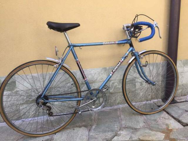 biciclette d epoca da uomo raleigh