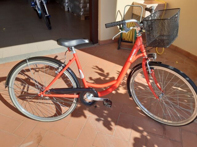 bicicletta b39twin