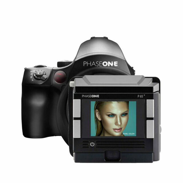Cerco: Phase One o hasselblad P65 - IQ 