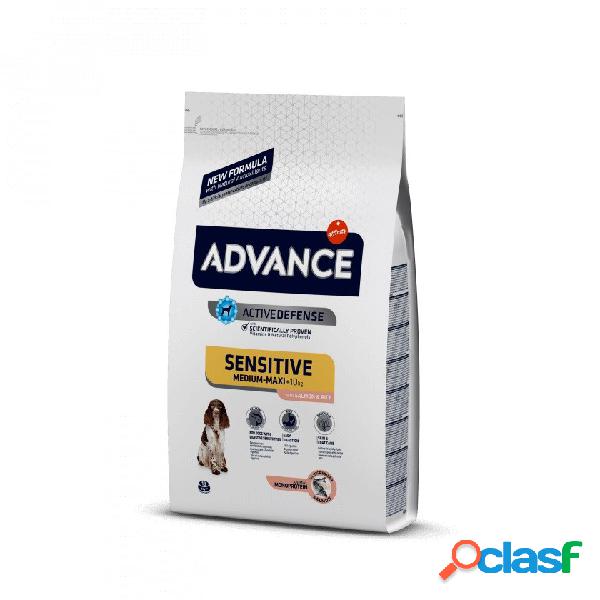 Affinity advance cane sensitive medium maxi (+10 kg) salmone