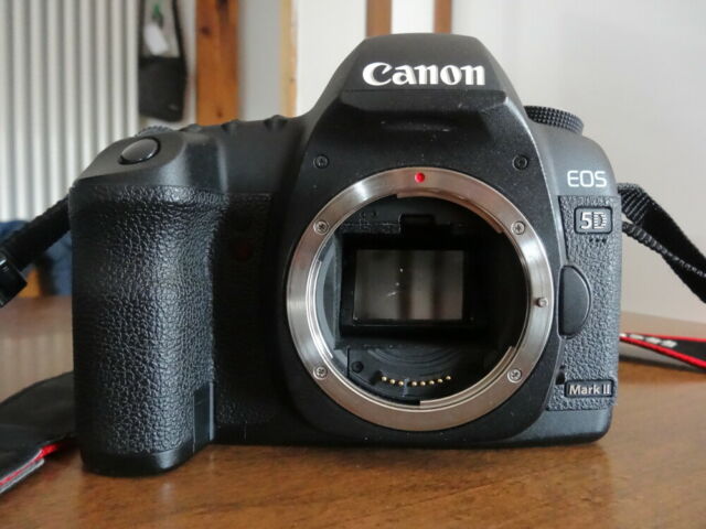 Canon 5d Mark II + Canon EF 50mm f/1.8