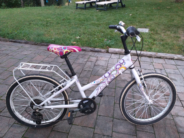 bicicletta bambina raggio 24