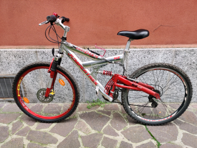 bicicletta con doppio seggiolino