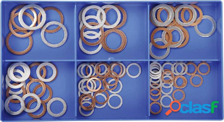 10024 Assortimento da 100 pezzi: rondelle (anelli di tenuta)