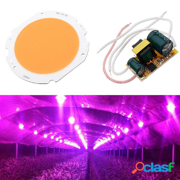 20W LED COB Round Grow Light Chip fai-da-te con alimentatore
