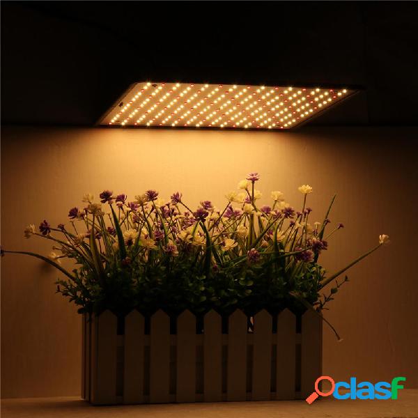 225LED Grow Light Warm Bianco e Rosso lampada Ultrathin