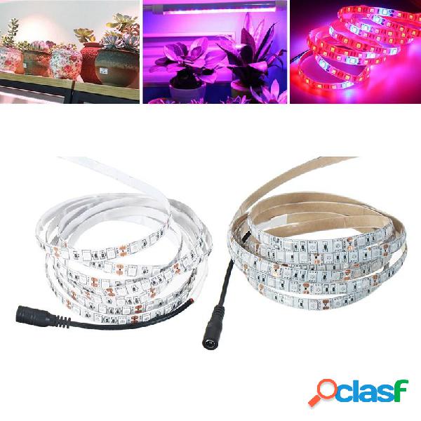 3M SMD5050 Rosso: Blu 5: 1 Spettro completo LED Grow Strip