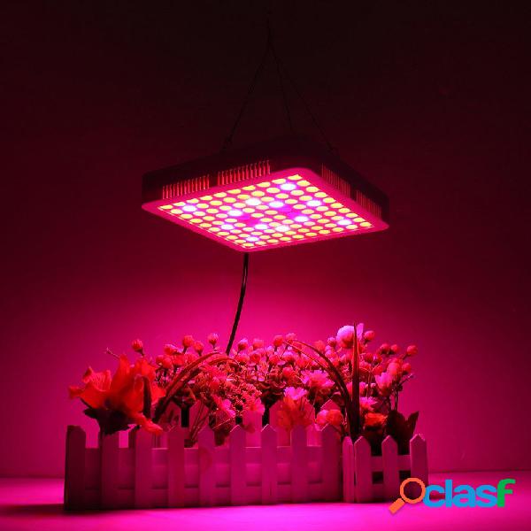 65W LED Grow Light Panel lampada Luci per coltivazione di