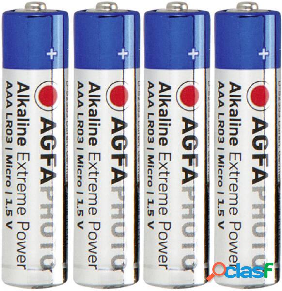 AgfaPhoto LR03 Batteria Ministilo (AAA) Alcalina/manganese
