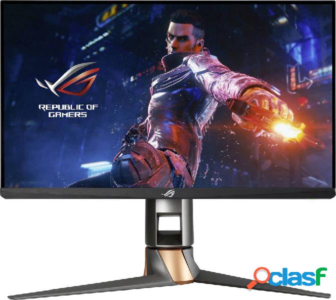Asus PG259QNR Monitor LED 62.2 cm (24.5 pollici) ERP F (A -