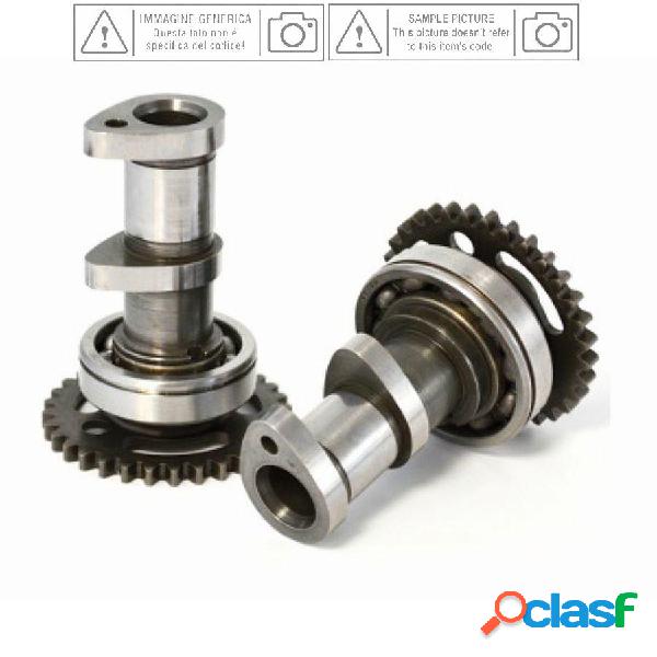 Athena factory camshaft gear and bearing