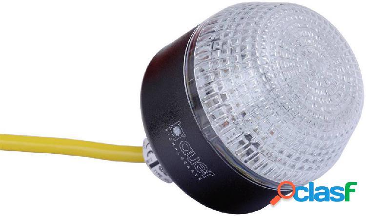 Auer Signalgeräte Segnalatore luminoso LED IML 802550313