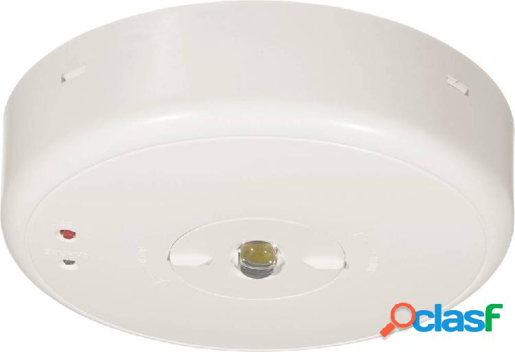 B-SAFETY BL550038 luce di sicurezza Montaggio a soffitto