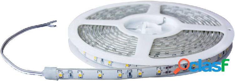 Barthelme 51618413 51618413 Striscia LED con estremità