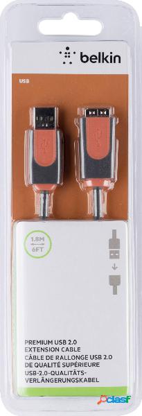 Belkin Cavo USB USB 2.0 Spina USB-A, Presa USB-A 1.80 m