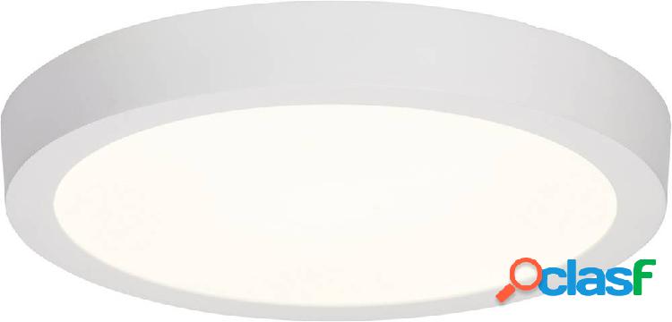 Brilliant G94259/05 Katalina Lampada a LED ERP: F (A - G) 24