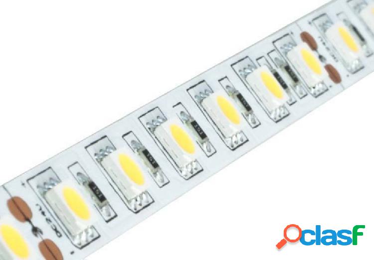 Brumberg 15203003 Striscia LED ERP: F (A - G) 24 V/DC 5 m