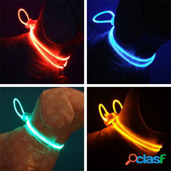 Collare LED da Animale Domestico Colorato Luminoso per Notte