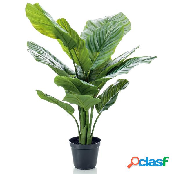 Emerald Pianta Artificiale Calathea Orbifolia in Vaso 60 cm