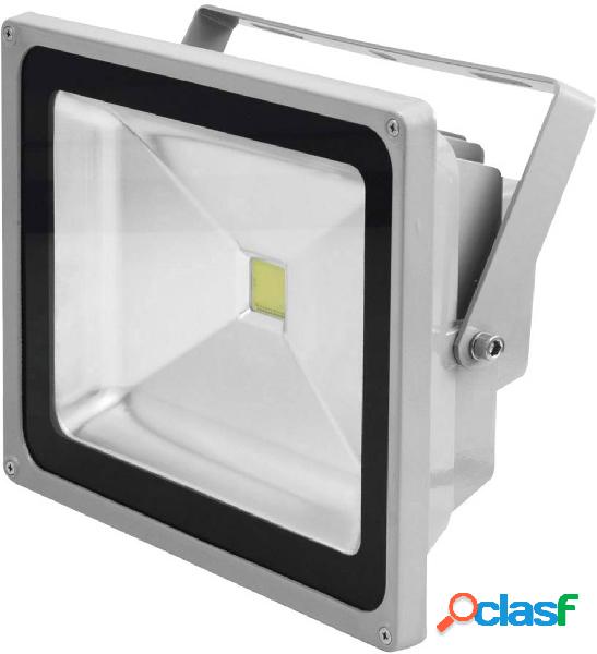 Eurolite 51914568 Faretto a LED per esterni 55 W Bianco