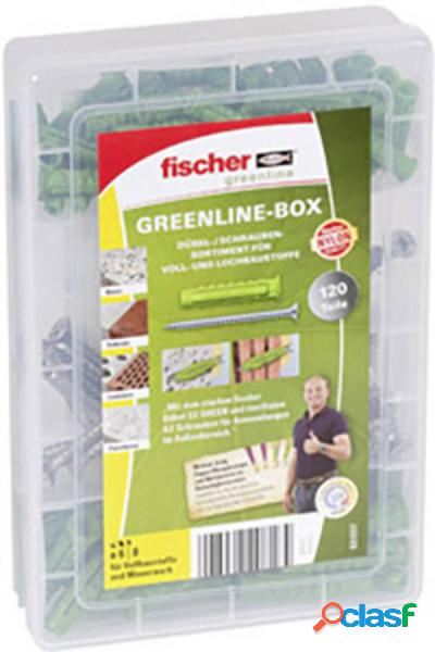 Fischer 531227 Box Meister Green Line SX + vite A2 Contenuto
