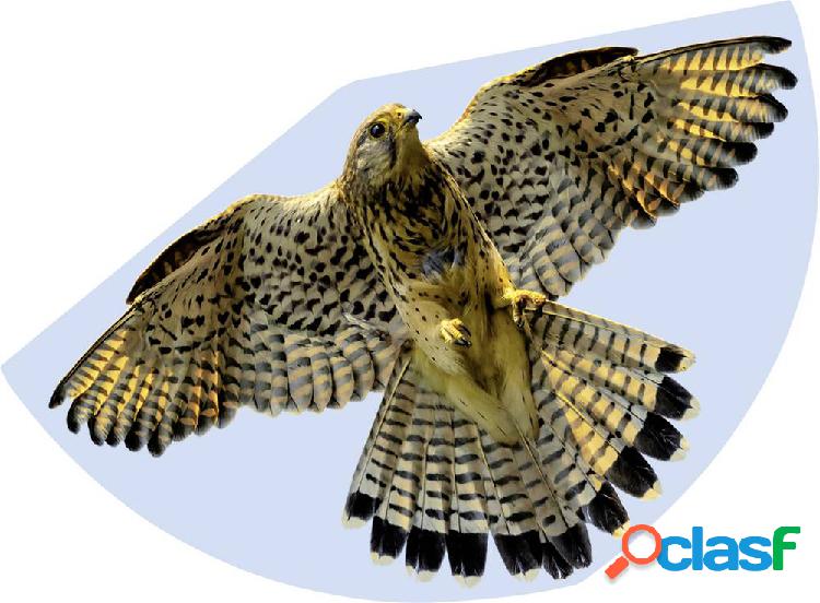 Günther Flugspiele Monofilo Aquilone statico FALKE