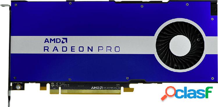 HP Scheda grafica AMD Radeon Pro W5500 8 GB RAM GDDR5 PCIe