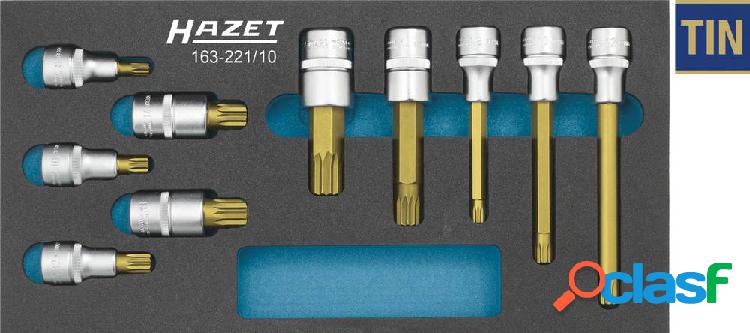 Hazet 163-221/10 Multidente XZN Kit inserti giravite a