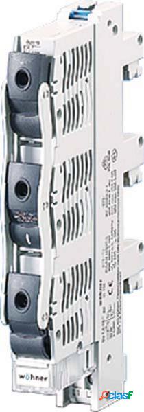 Hensel 4012591118183 Portafusibili Misura fusibile = D02 3