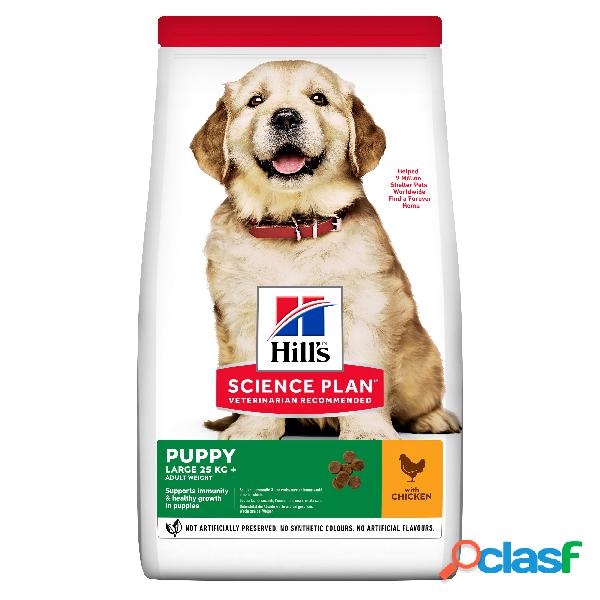 Hill's Science Plan Dog Large Breed Dog Puppy con Pollo 12