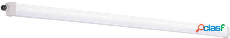 Kanlux TP SLIM Lampada impermeabile 40 W Bianco neutro
