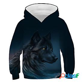 Kids Boys Hoodie Sweatshirt Long Sleeve Graphic 3D Print