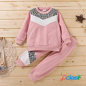 Kids Girls Clothing Set Long Sleeve 2 Pieces Pink Print