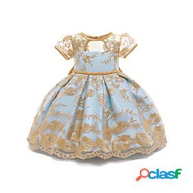 Kids Little Dress Girls Lace Florals Flower Performance