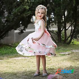 Kids Little Girls Dress Floral Birthday Performance Tulle