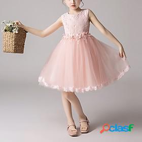 Kids Little Girls Dress Floral Lace Party Princess Solid