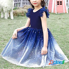 Kids Little Girls Dress Sequin Tulle Dress Birthday Birthday