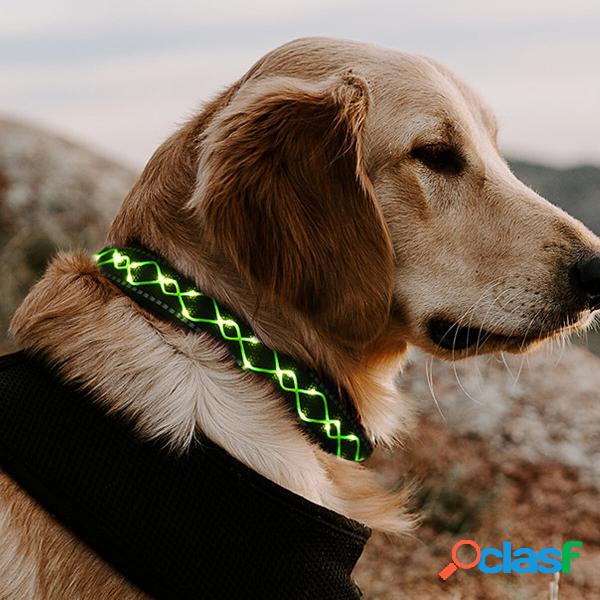 LED Collare per animali domestici per cani Lampeggiante Luce