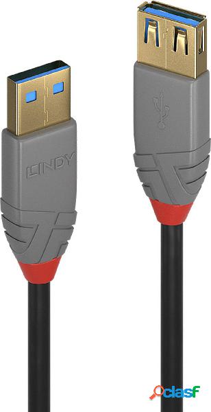 LINDY Cavo USB USB 3.2 Gen1 (USB 3.0) Spina USB-A, Presa