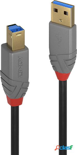 LINDY Cavo USB USB 3.2 Gen1 (USB 3.0) Spina USB-A, Spina