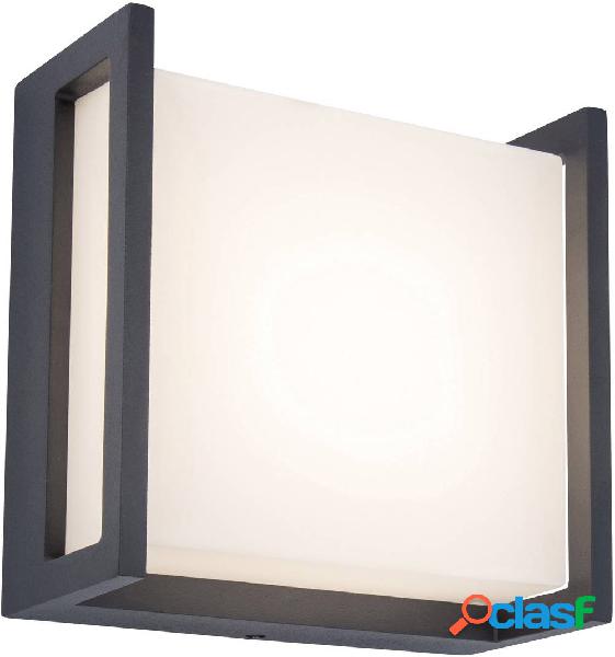 Lutec QUBO 5195401118 Lampada da parete per esterni a LED