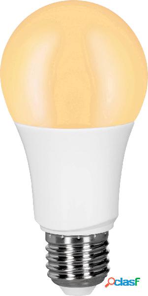 Müller-Licht tint Lampadina LED singola ERP: F (A - G) E27