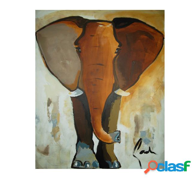 Mohd Selection Elephant Colour 80x100
