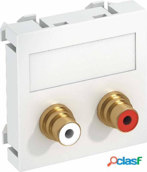 OBO Bettermann 6105048 Coperchio Supporto per modulo